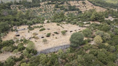 Aydın 'ın Kocarli kentinde Antik Amyzon Kalıntıları Duvarı