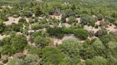 Aydın 'ın Kocarli kentinde Antik Amyzon Kalıntıları Duvarı