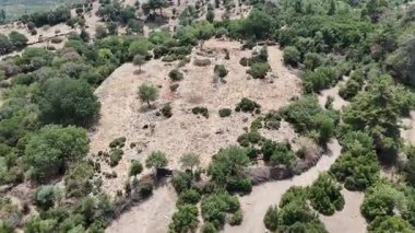 Aydın 'ın Kocarli kentinde Antik Amyzon Kalıntıları Duvarı