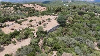 Aydın 'ın Kocarli kentinde Antik Amyzon Kalıntıları Duvarı