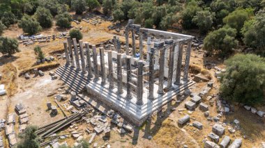 Euromus, Türkiye 'deki Zeus Lepsinos Antik Tapınağı 