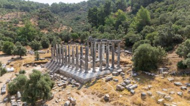 Euromus, Türkiye 'deki Zeus Lepsinos Antik Tapınağı 