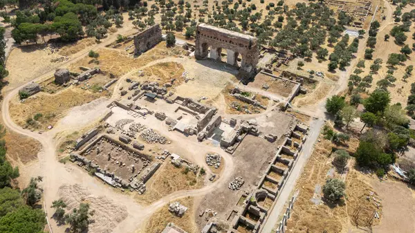 Türkiye 'nin Aydın kentinde dağları ve zeytin ağaçlarıyla antik Tralleis kalıntıları