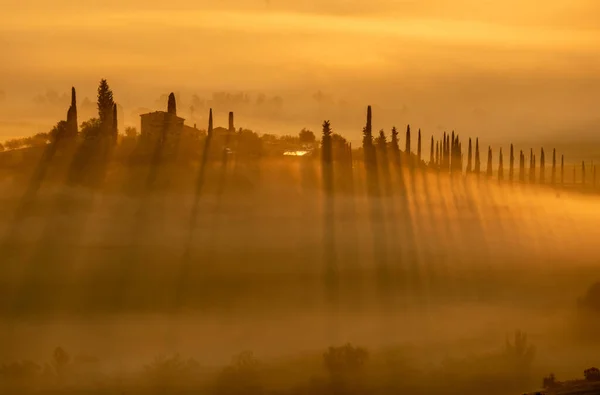 Toskana 'da sabah, sis, Gladyatör yolu, vadi, tepeler, selvi, yeşillik, çimen, gün doğumu