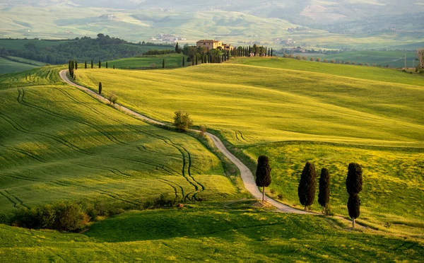 Morgen Toscane Mist Gladiator Weg Vallei Heuvels Cipres Groen Gras — Stockfoto