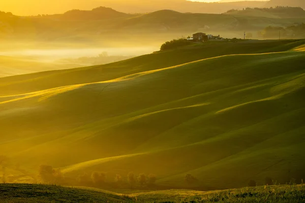 Morgen Toscane Mist Gladiator Weg Vallei Heuvels Cipres Groen Gras — Stockfoto
