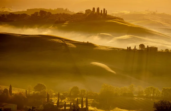 Morning Tuscany Fog Gladiator Road Valley Hills Cypress Greenery Grass — Stock Photo, Image