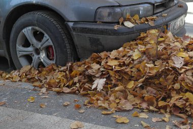 Yaprak yığınıyla kaplı terk edilmiş bir araba. Şehir çizimleri.