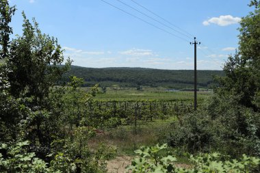 Tipik Moldova yeşil tarım ülkesi Moldova Cumhuriyeti manzarası. Metin veya yazı için kopyalama alanı olan bir arkaplan. Donici köyü yakınlarında..