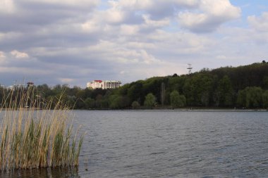 Valea Morilor gölü ve parkı. Yeşil ağaçlar, uzaktaki binalar Chisinau, Moldova