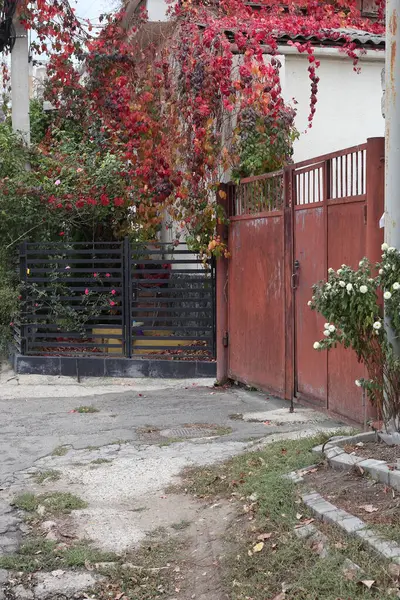 Eski Chisinau şehrinin sokaklarında sonbahar. Alexandru Vlahuta Caddesi, Teobashevskaya.