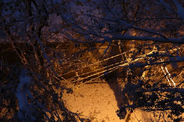 Kar yağışı sonrası kentsel kış manzarası. Karla kaplı bir şehir caddesi, karla kaplı ağaçlar. Yukarıdan bak. Bulutlu bir kış günü, yumuşak bir ışık.