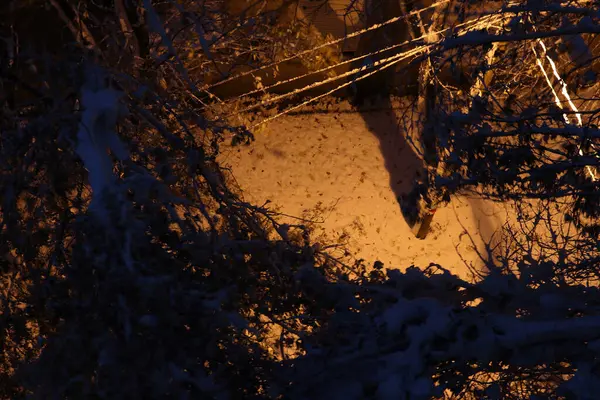 Kar yağışı sonrası kentsel kış manzarası. Karla kaplı bir şehir caddesi, karla kaplı ağaçlar. Yukarıdan bak. Bulutlu bir kış günü, yumuşak bir ışık.