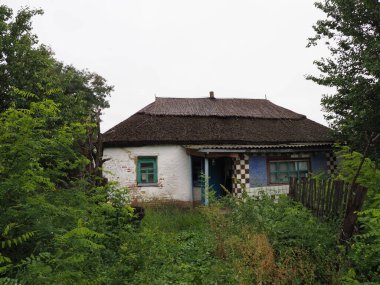 Sazlık çatısı altında terk edilmiş eski bir Ukrayna evi.