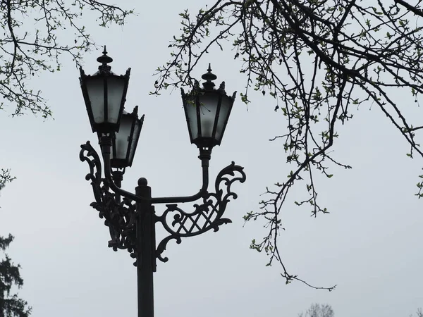 Одинокая Лампа Парка Фоне Мрачного Серого Зимнего Неба Ветвей Дерева — стоковое фото