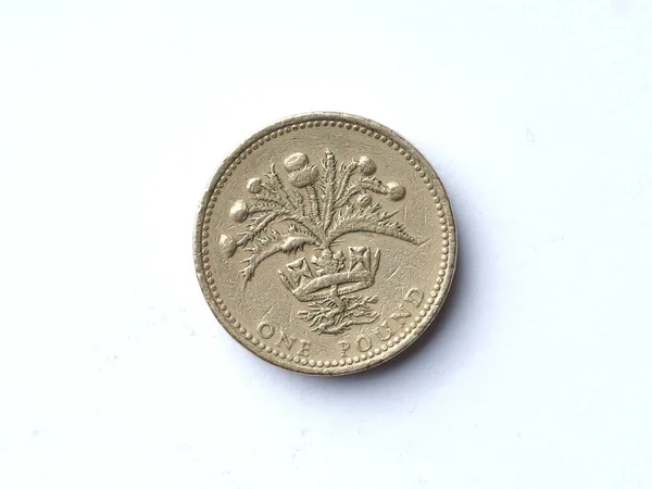 1989年英国一枚一英镑硬币的正面 在白色背景上有轻微的擦伤和划伤 — 图库照片