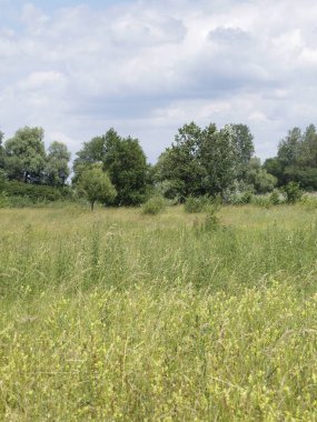 Nehir ve gölü olan güzel bir manzara.