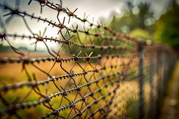 barbed wire fence on a background of a fence