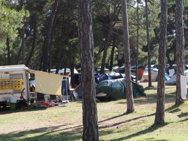 Bir çam ormanının ortasında karavan ve çadırlarla kamp yapmak.