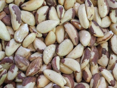 Kahverengi ve Krem desenli Brezilya Fıstıkları Doğal Devlette