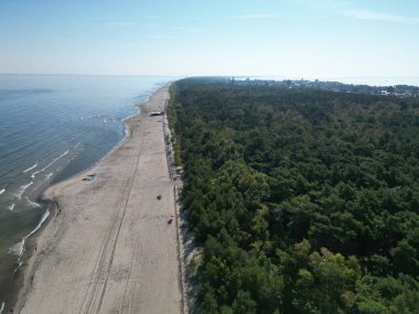 Yoğun Yeşil Orman ve Açık Mavi Deniz 'in yanındaki Plajda Yaz Günü