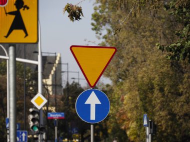 Bir sonbahar gününde arka planda ağaçlar olan bir kavşakta yol işaretleri