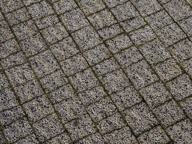 Taşların arasında yosun yetişen kaldırım taşlarının detaylı görüntüsü.