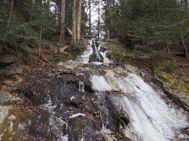 Ormandaki Buzlu Akıntı, Yakın plan