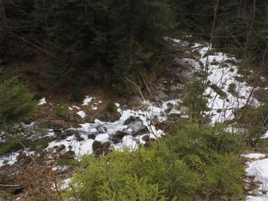Kış orman dağ dere