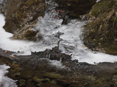 kış manzara dağ dere