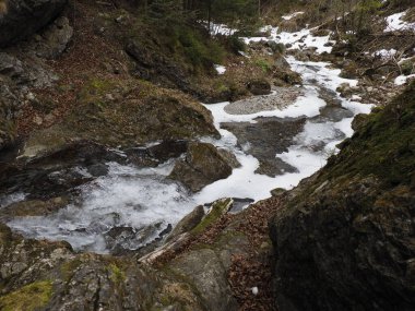 kış manzara dağ dere
