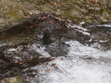 kış manzara dağ dere