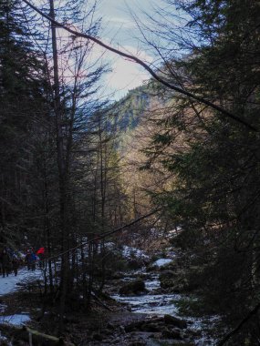 Baharın başlarında Serene Ormanı Dağlık Yol boyunca eriyen karla birlikte