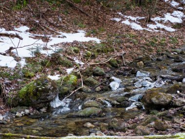 Dağlık Orman 'da ilkbahar aylarında eriyen kar ve buz parçalarıyla kaynıyor.
