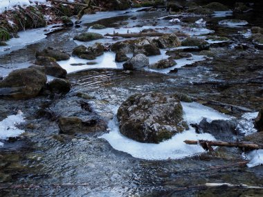 Kışın Kayanın Çevresinde Dairesel Buz oluşumu Doğal Geometrik Şablon Oluşturur