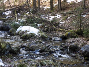 Kayalık Dağ Akıntısı ile İlkbaharın Başları Eriyen Kar ve Ormanda Ortaya Çıkan Kayalar