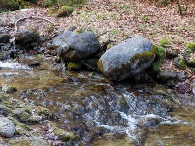 Pürüzsüz Kayaların Üzerindeki Küçük Şelale ile Bahar Dağı Deresi 'nin Detaylı Manzarası