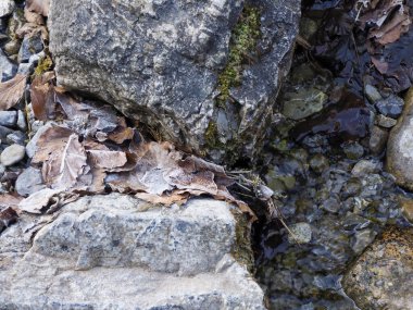 Dokulu kaya yüzeyine yakın çekim. Jeolojik oluşumu ve toprak mineral desenlerini gösteren doğal bir yarık.