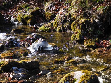 Bahar Ormanı 'nda Yosun kaplı kayalar ve buz oluşumlarıyla Sakin Dağ Deresi