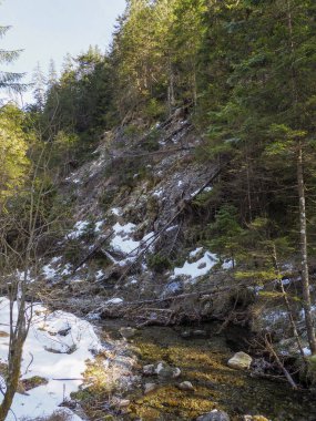 Dar Dağ Deresi Kış Sonlarında Karlı Orman Geçidi 'nden akıyor