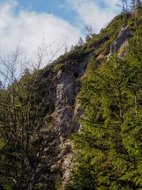 Evergreen Ağaçları ve Parlak İlkbahar Gökyüzü ile Dikey Dağ Uçurumu