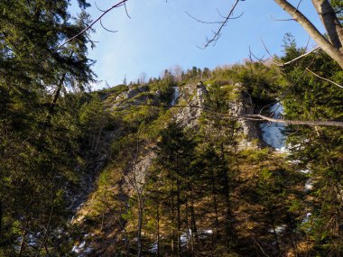 Evergreen Ormanı ve Rocky Uçurumları ile Manzaralı Dağ Manzarası
