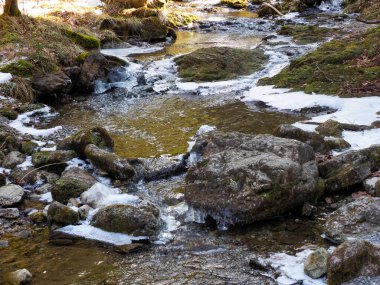 Kayalık Dağ Deresi Eriyen Karla ve Yosun Kaplı Taşlarla İlkbahar Başları Vahşi Ormanı Ayarlarıyla