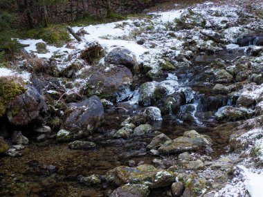 Kayalar arasında eriyen kar ve buz oluşumlarıyla Rocky Dağı Akıntısı