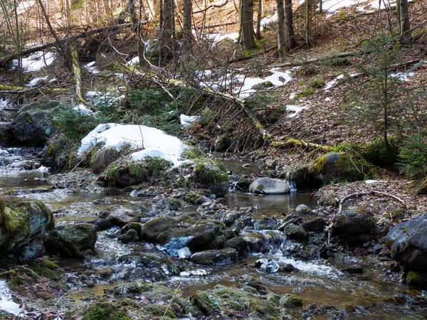 Kayalık Dağ Akıntısı ile İlkbaharın Başları Eriyen Kar ve Ormanda Ortaya Çıkan Kayalar