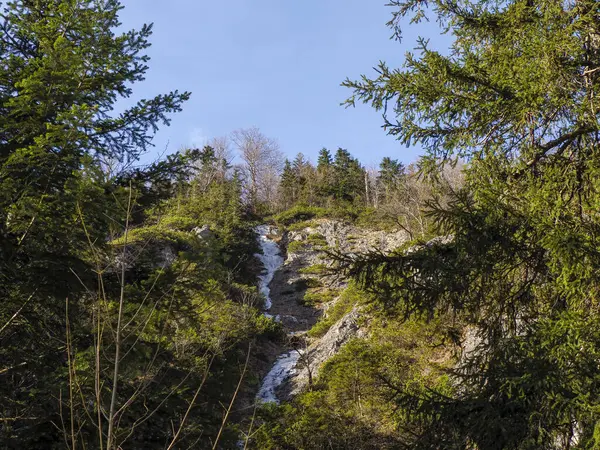 Uzak Şelale Bahar Ormanı boyunca Dağdan Akıyor