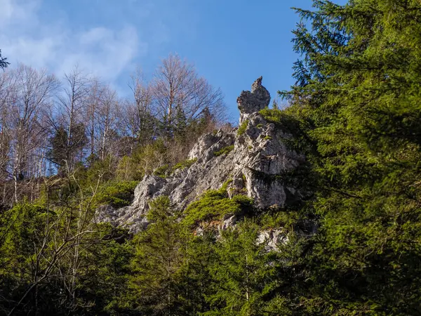Dramatik Doğal Kaya oluşumu Orman manzarasına tepeden bakan Açık Mavi Gökyüzü