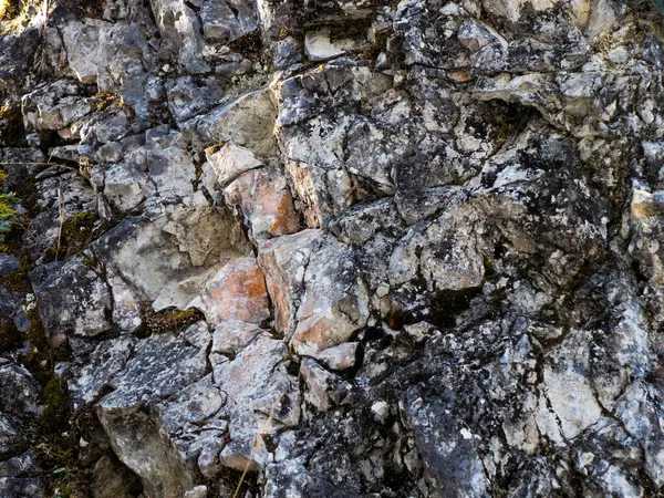 Lichen ve Moss 'la Dokulu Dağ Kayası Yüzeyi Jeolojik Katmanları Gösteriyor