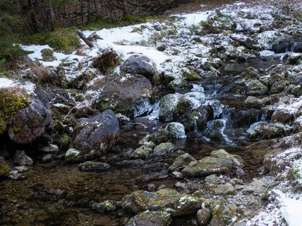 Kayalar arasında eriyen kar ve buz oluşumlarıyla Rocky Dağı Akıntısı
