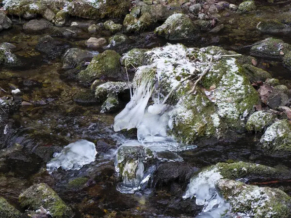 Kış mevsimi boyunca dağ deresindeki yosun kaplı kayalarda büyüleyici buz oluşumları